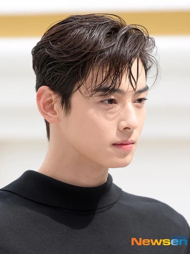  디올 차은우 기사 사진 실화?