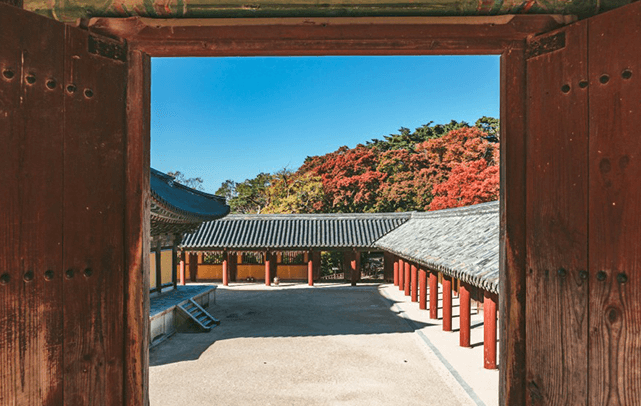 2023 가을 단풍 여행 명소 추천