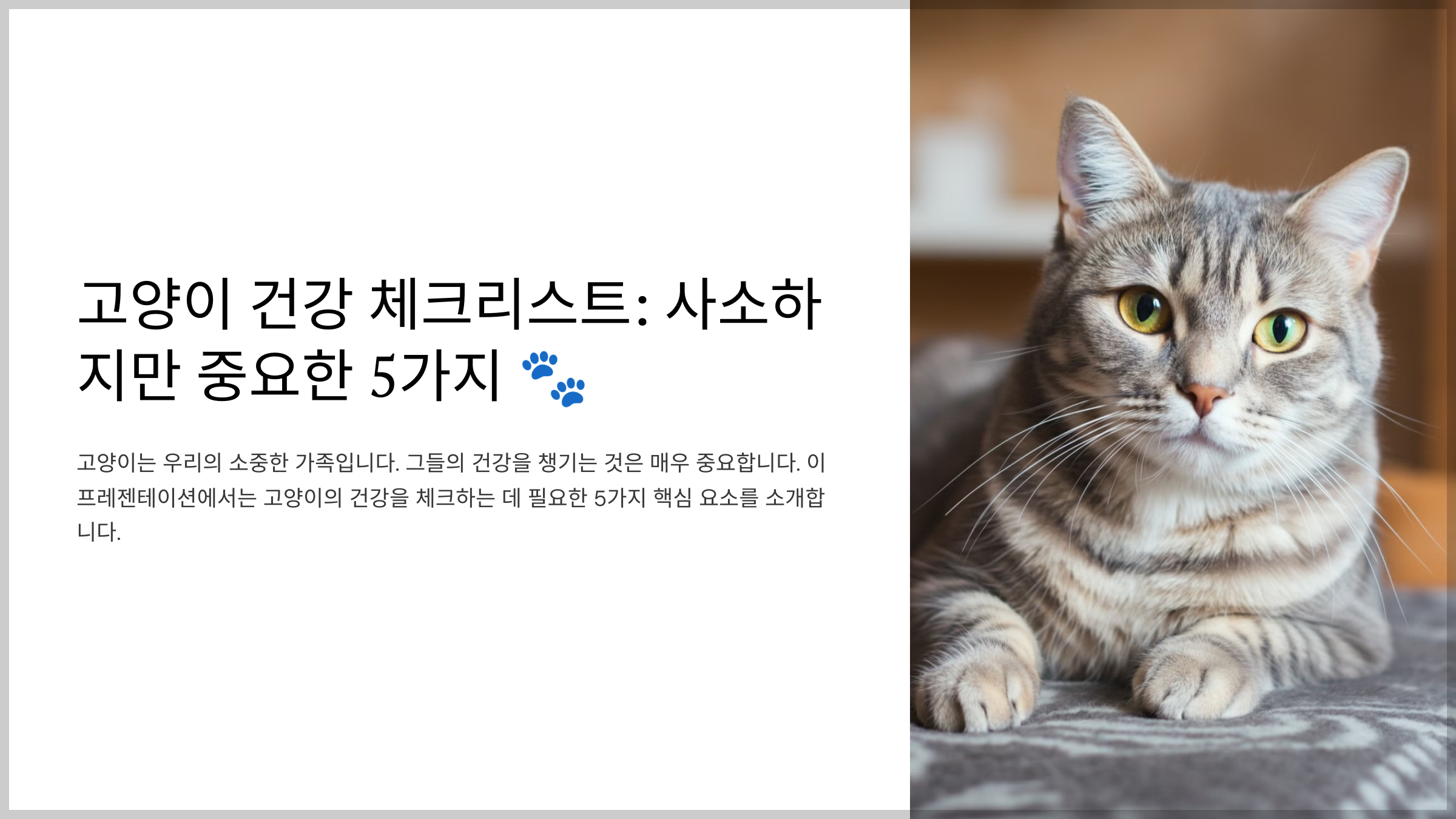 고양이 건강 체크리스트: 사소하지만 중요한 5가지