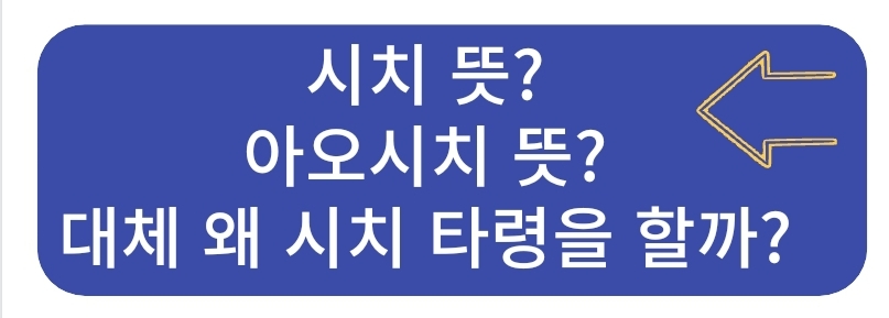오너시치 뜻? 왜 오너한테 오너시치라고 하지?