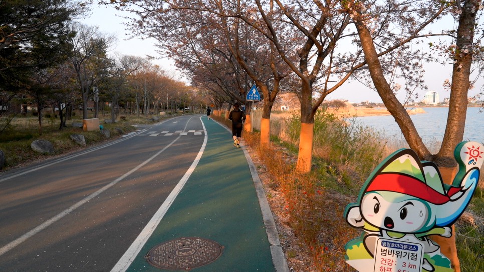 유산소 심박수 운동법 [런닝 칼로리 계산기] 6