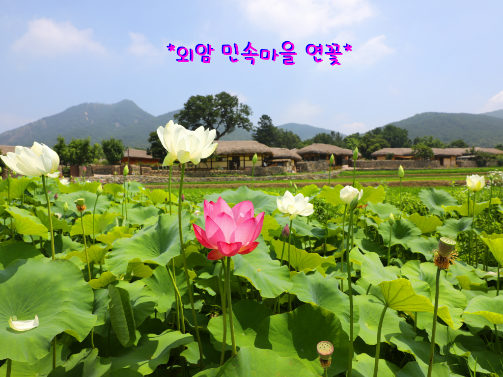 민속마을 이미지