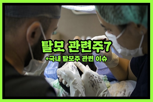  | 탈모 관련주7 | 소문만 무성했던 탈모 치료제 지원 현실화!