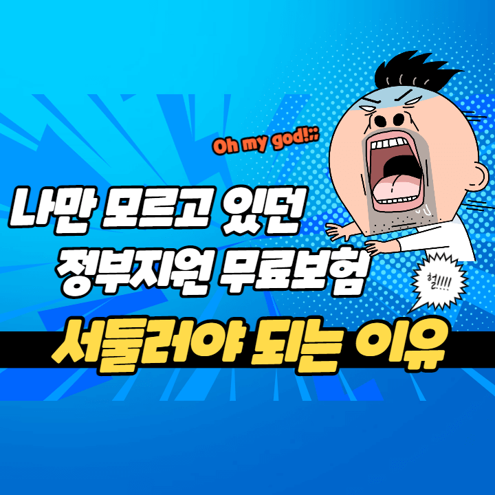 정부지원 무료보험 소개