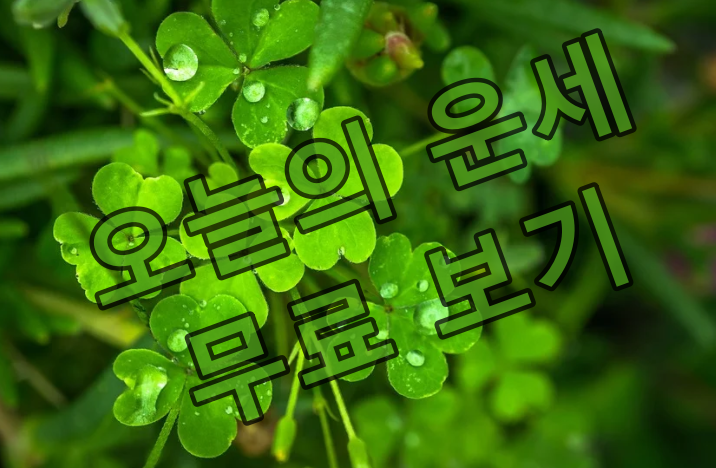 오늘의 운세
