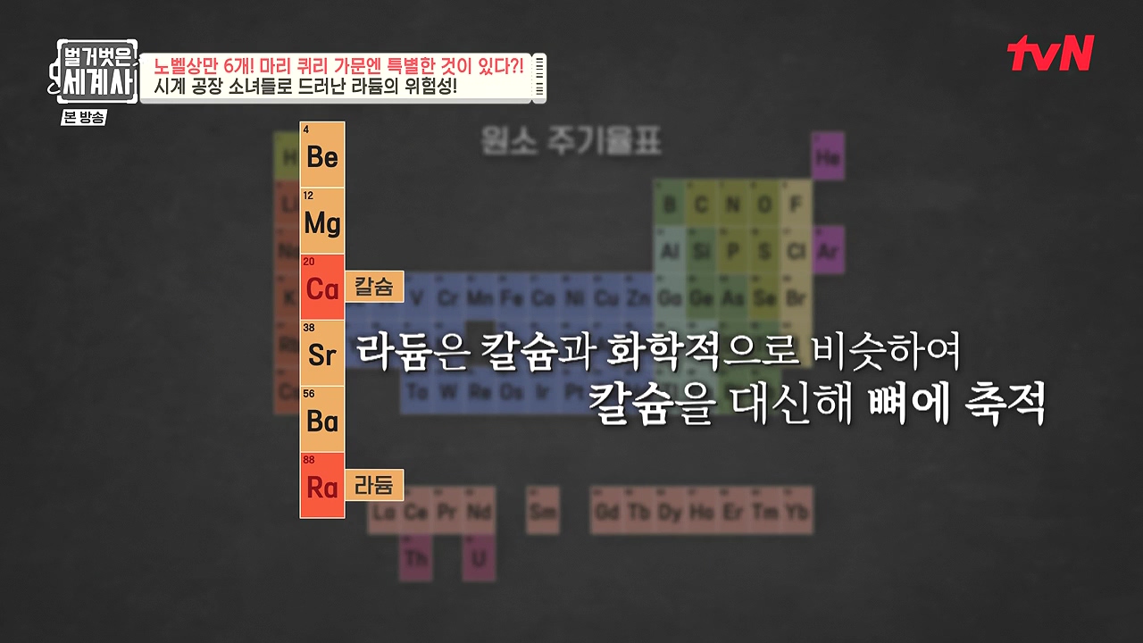 벌거벗은 세계사.E136.240131p-NEXT.mp4_20240728_165707.847.jpg