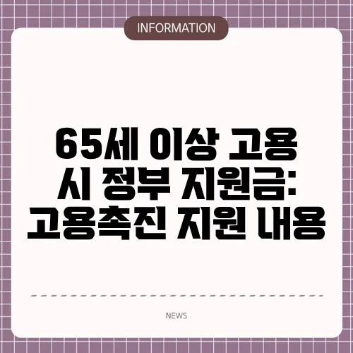 65세 이상 고용 시 정부 지원금: 고용촉진 지원 내용