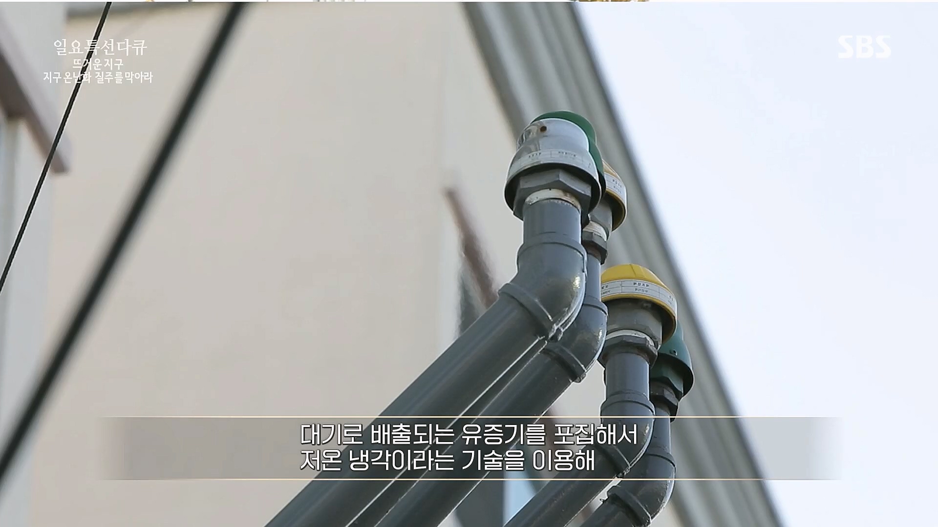 일요 특선 다큐멘터리.E309.230326p.H264-F1RST.mp4_20230326_154537.366.jpg