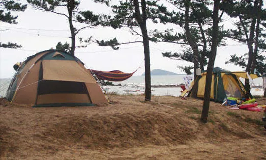 곰섬캠핑장