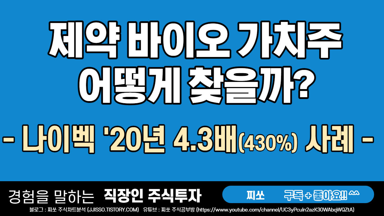  주식 가치투자의 비밀 - 2. 나이벡 주가 급등 사례