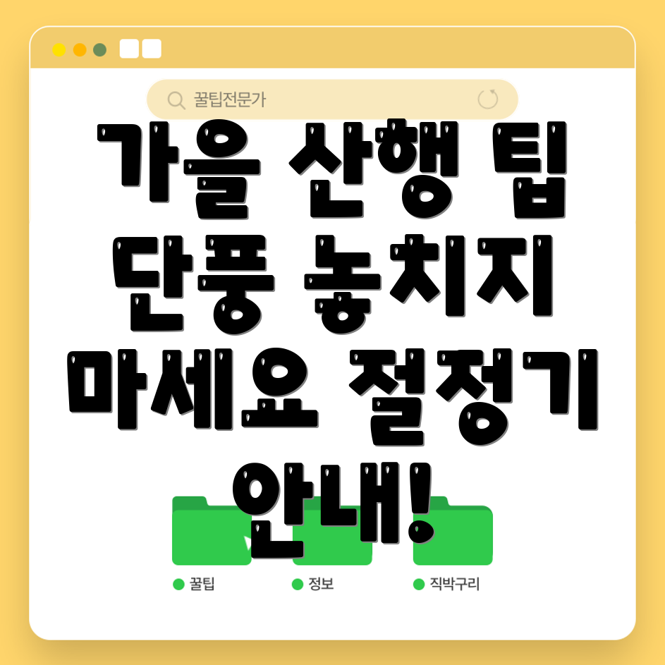 단풍