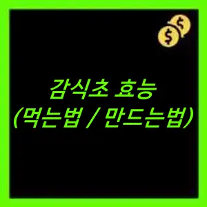 감식초 효능&#44; 먹는법&#44; 만드는법