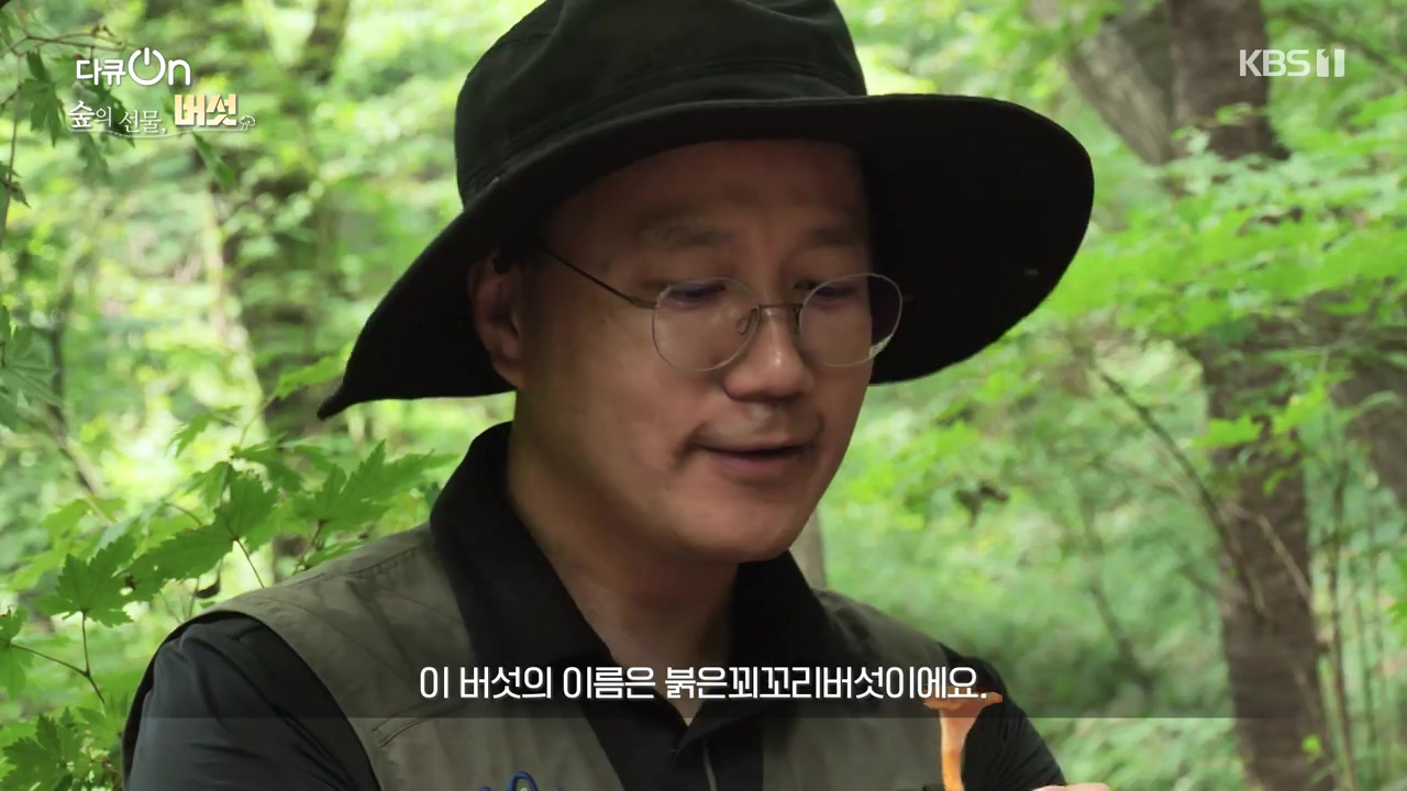 다큐 온.E227.231120p-NEXT.mp4_20231121_201911.325.jpg