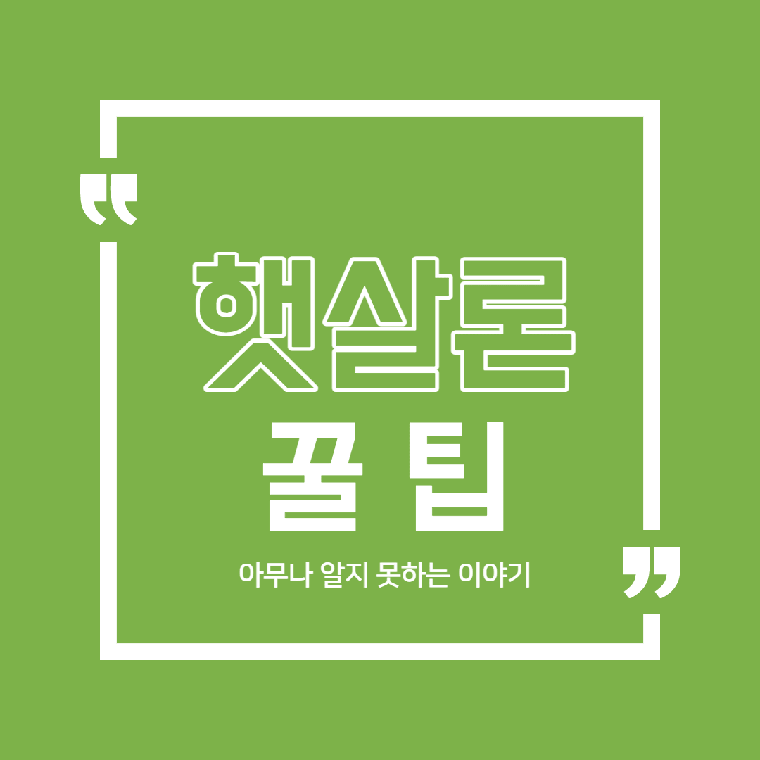  햇살론 이용전 알아야 할 꿀팁