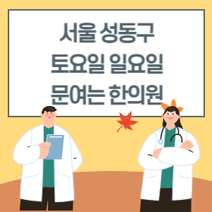 서울 성동구 토요일 일요일 한의원 진료 병원 리스트