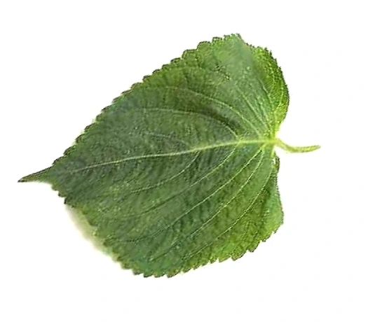 Google생각 vs 내 생각