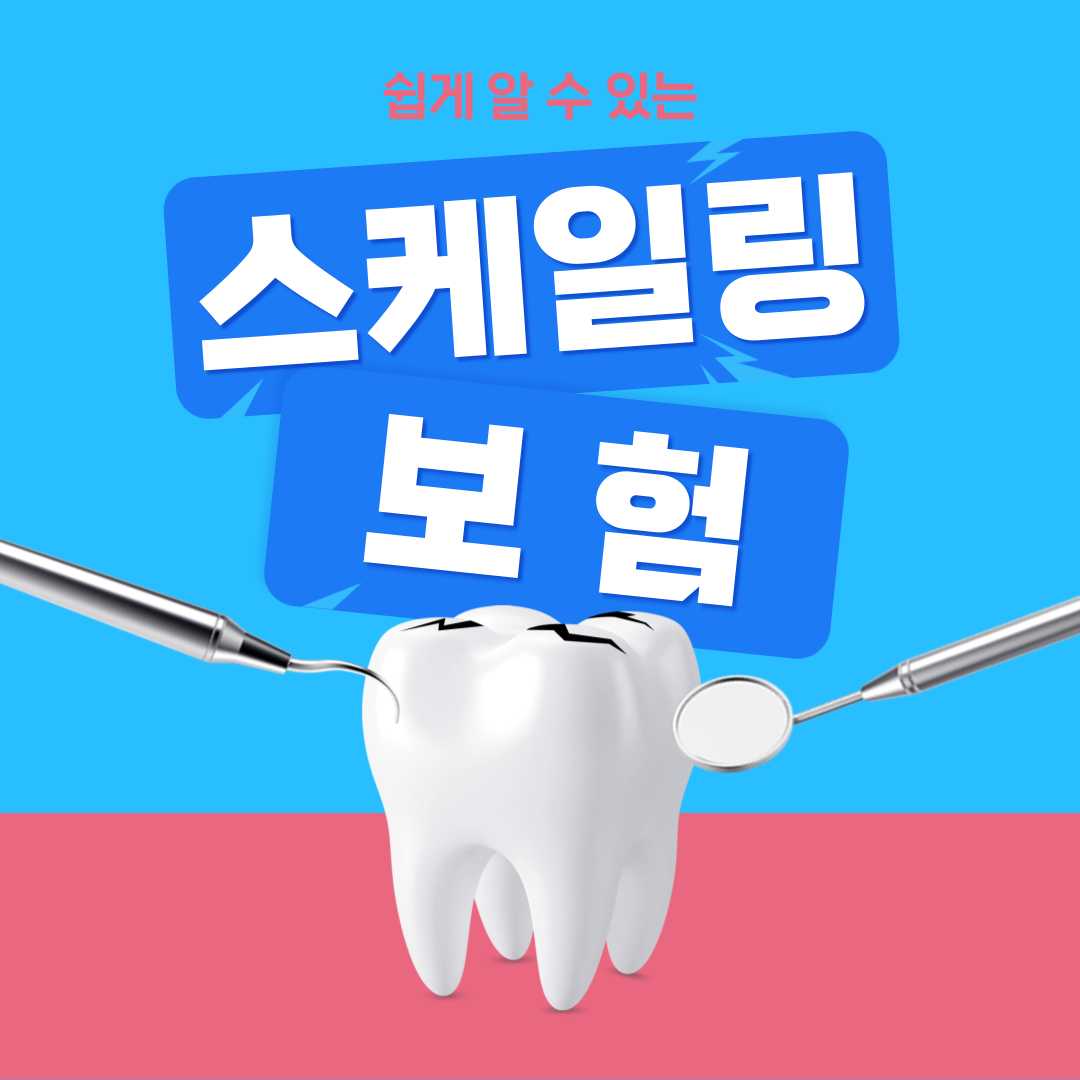 스케일링보험