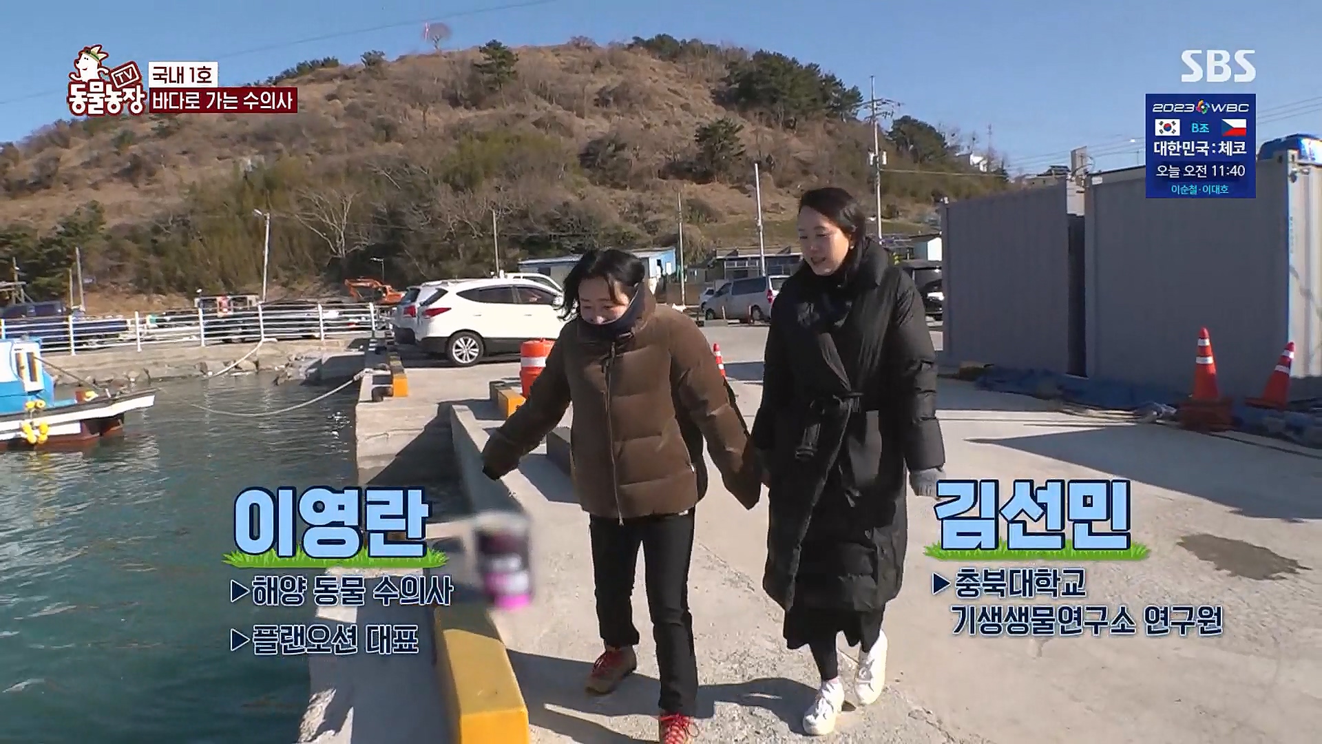 TV 동물농장.E1111.230312p.H264-F1RST.mp4_20230312_175008.416.jpg