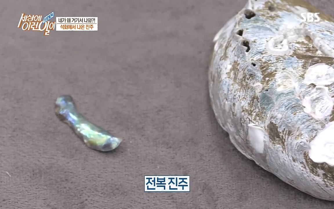 순간포착 세상에 이런일이.E1182.220532p-NEXT.mp4_20220601_171654.750.jpg