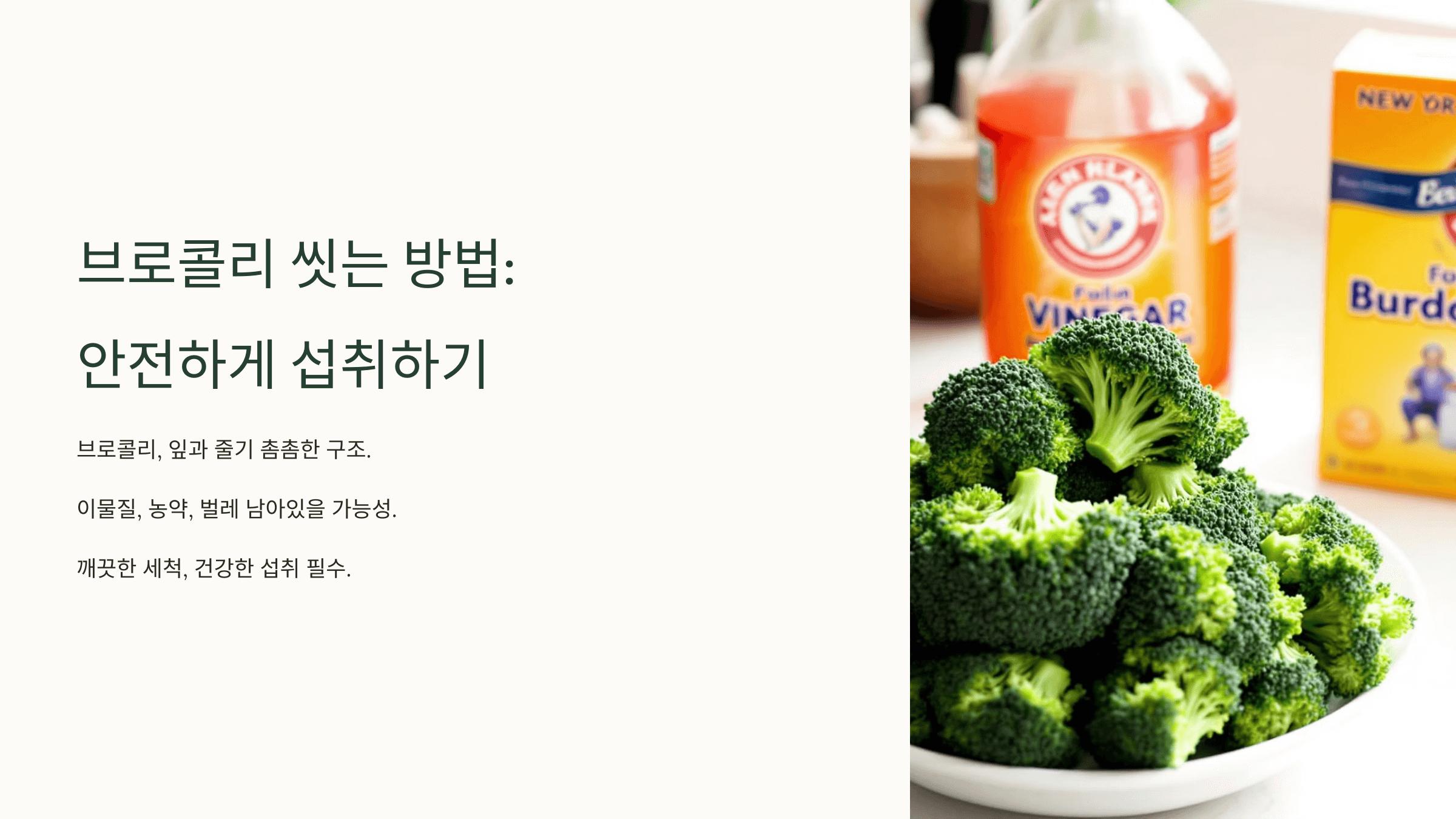 브로콜리 사진입니다.