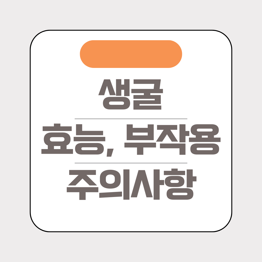 생굴 제목