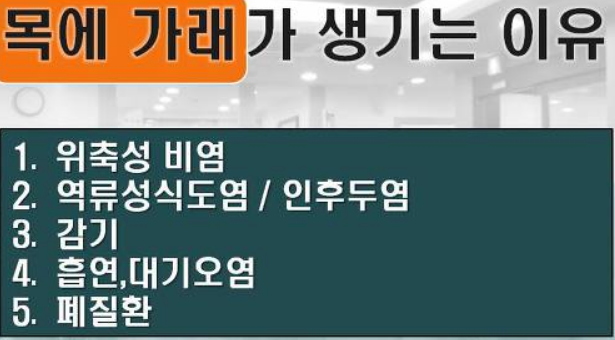  가래가 생기는 원인 삭히는 방법