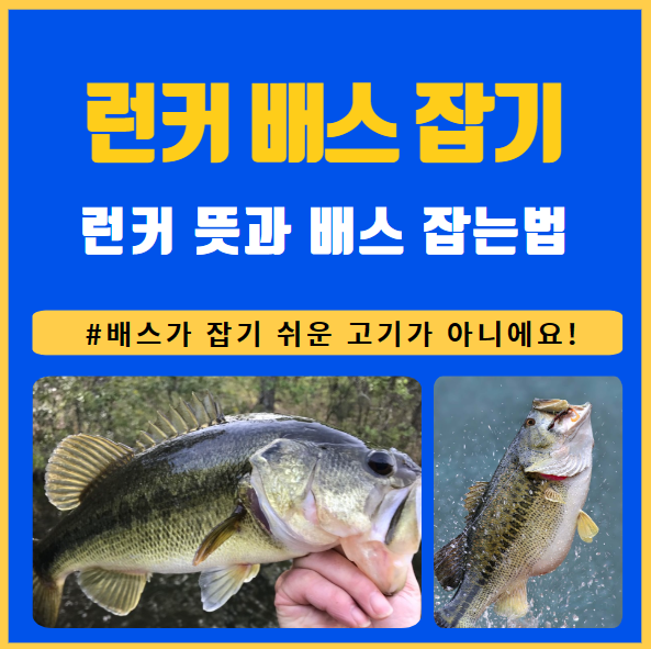 배스 런커 뜻