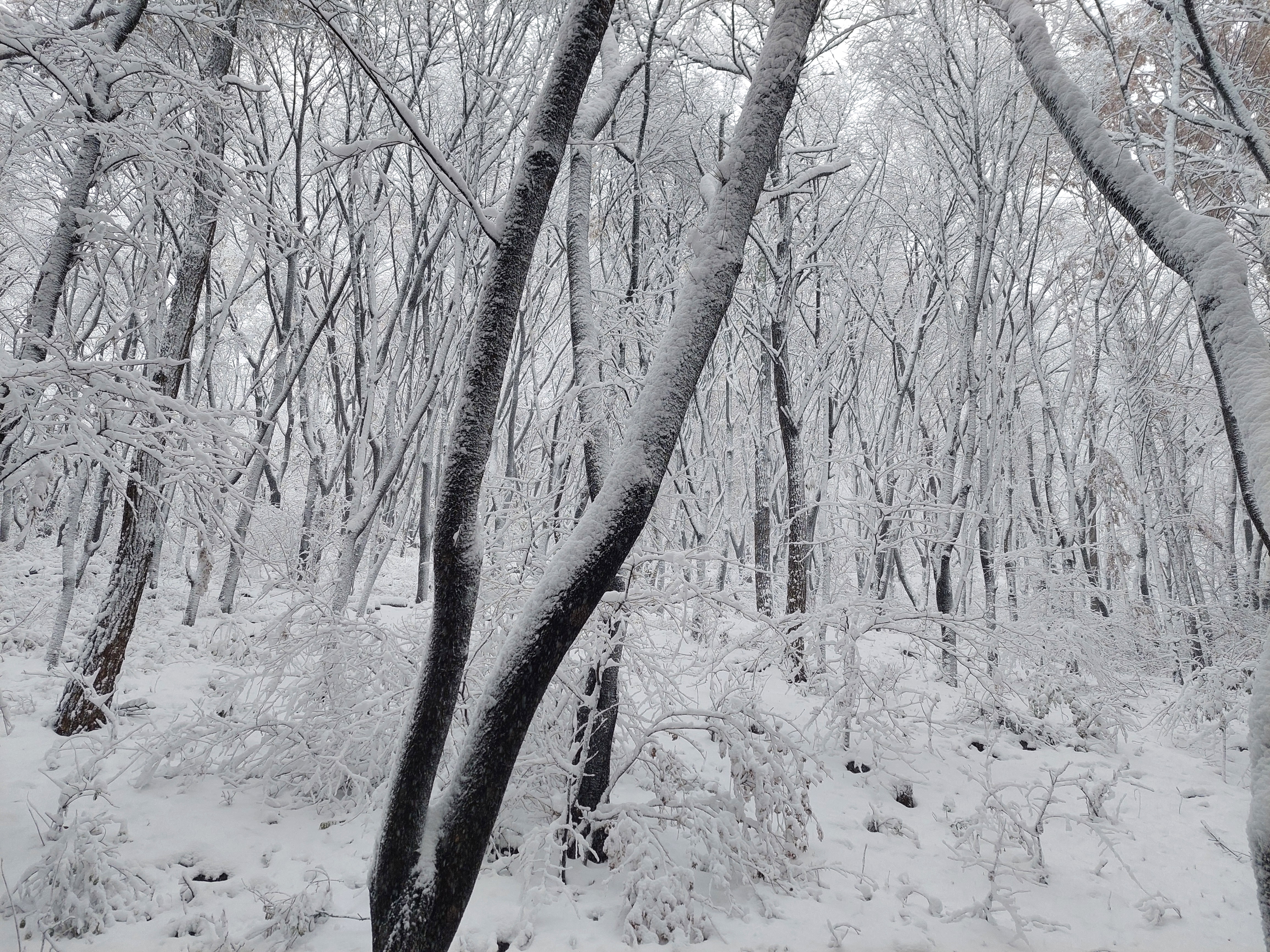 백련산안산