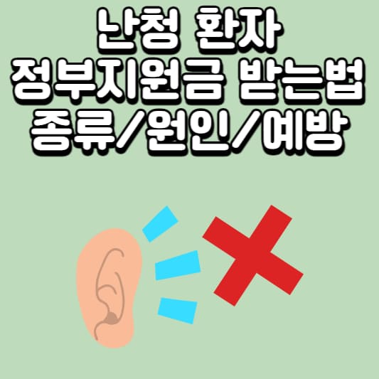 난청
난청 보청기
보청기 정부지원