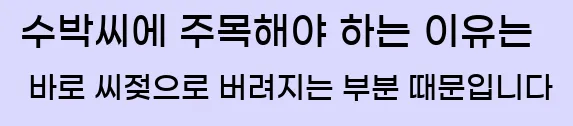  수박씨에 주목해야 하는 이유는 바로 씨젖으로 버려지는 부분 때문입니다