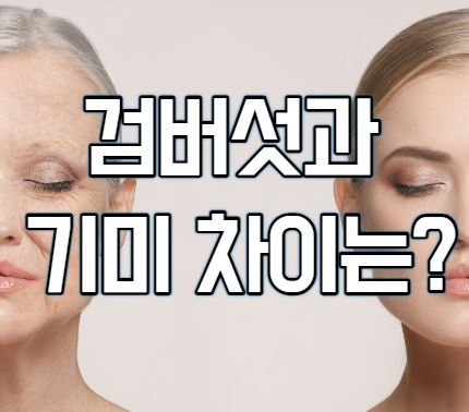  검버섯과 기미의 차이점은?
