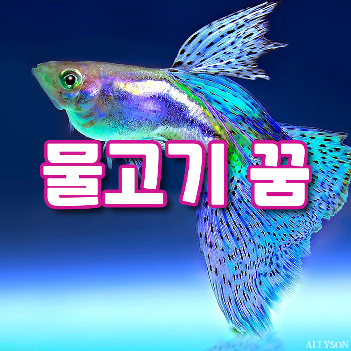 물속에-있는-화려한-물고기-한-마리-섬네일