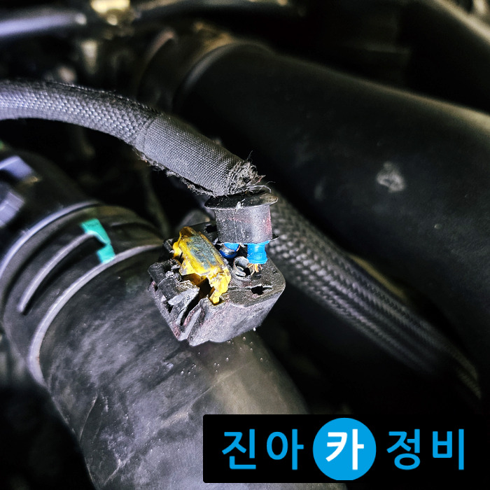 수온 이미지