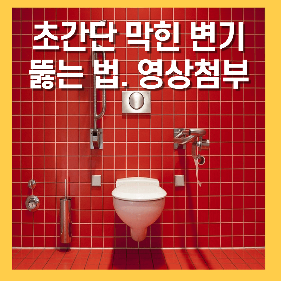  변기막힌것 쉽게 뚫는법 초간단 영상 첨부