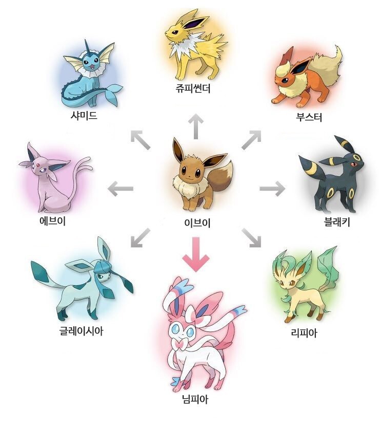  식재료계의 이브이.JPG