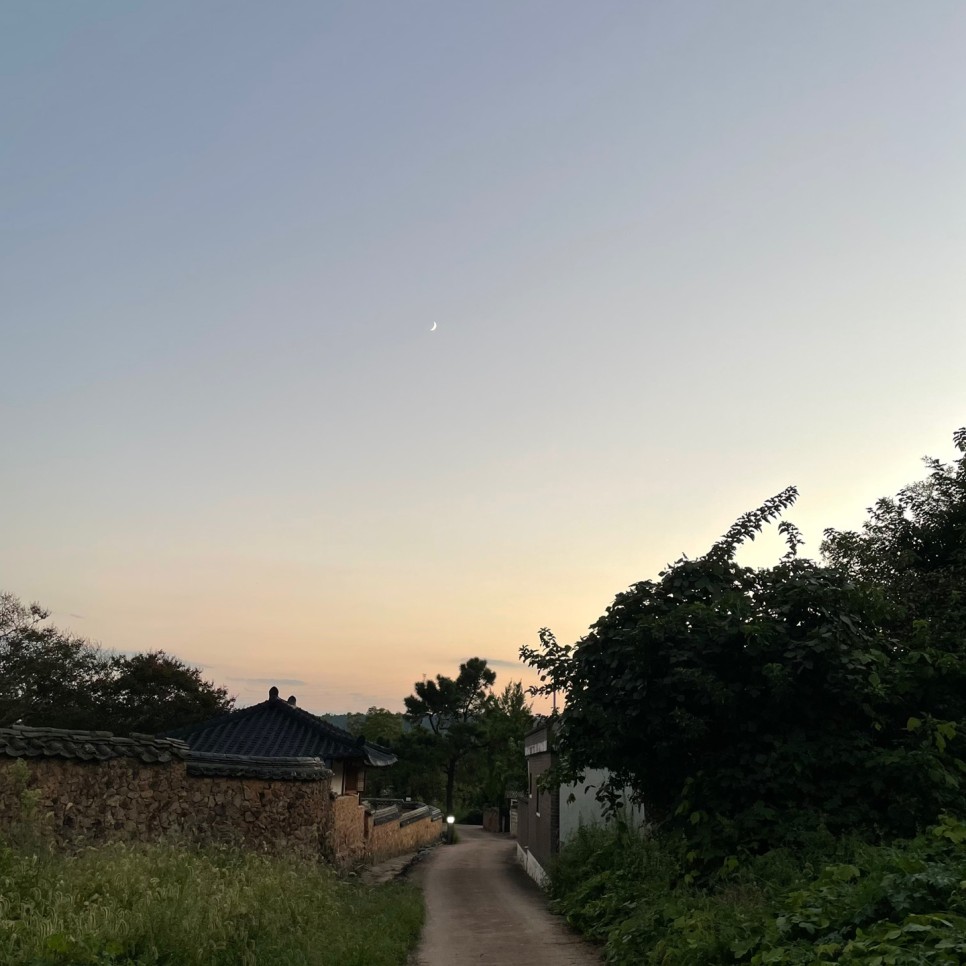 고택산에는 12