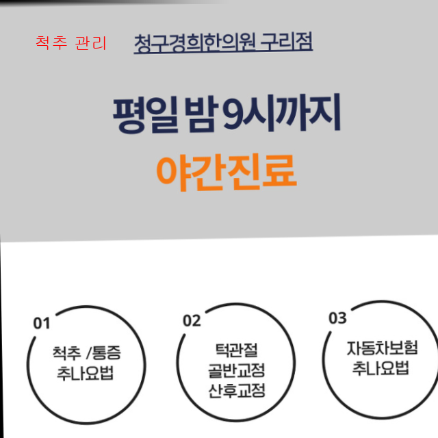 척추 관리4