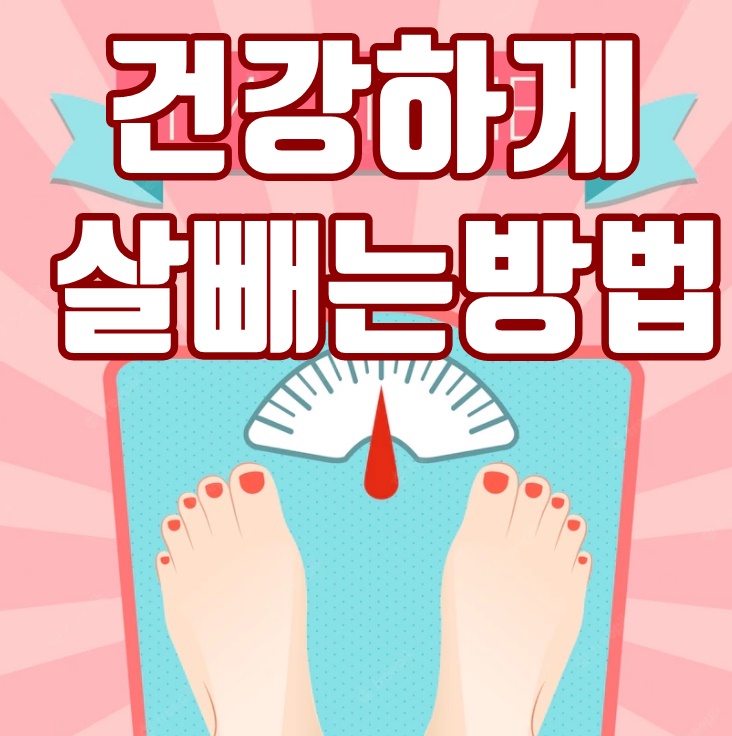  단기간 건강하게 살빼는 방법 :: 다이어트 식단과 운동법