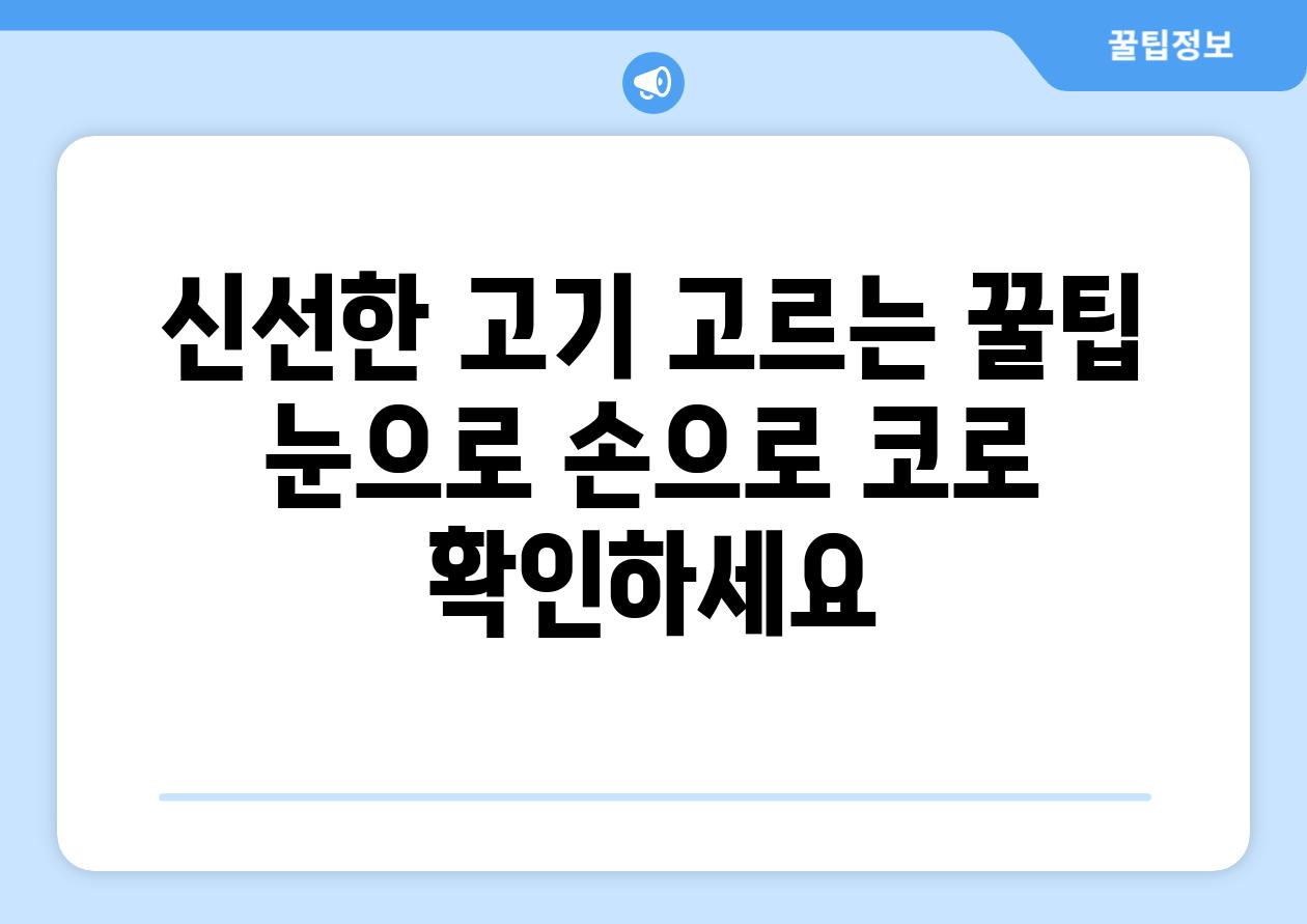 신선한 고기 고르는 꿀팁 눈으로 손으로 코로 확인하세요