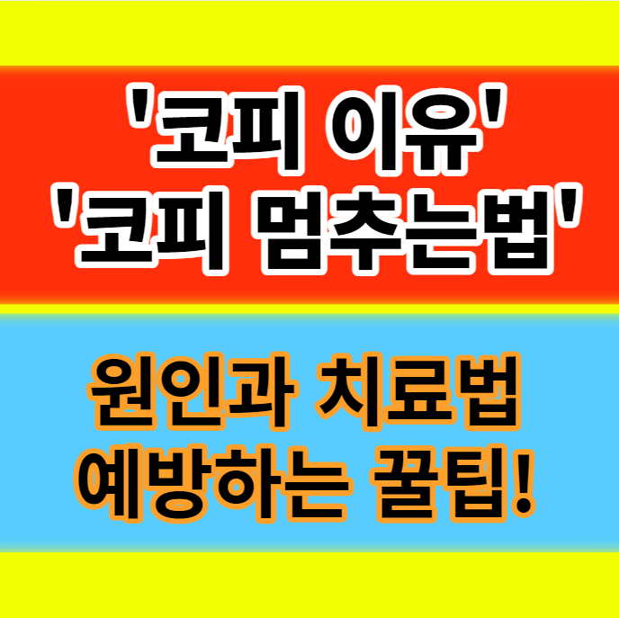  코피 자주나는 이유 코피 멈추는법 원인 알아야 치료 예방 가능