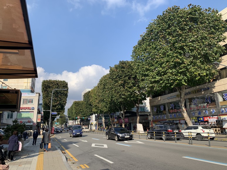 음식 흡수율 높게 철분이 많은 15