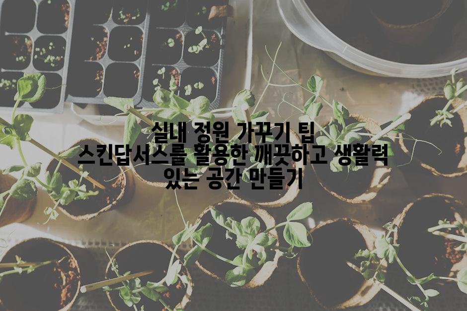 실내 정원 가꾸기 팁 스킨답서스를 활용한 깨끗하고 생활력 있는 공간 만들기