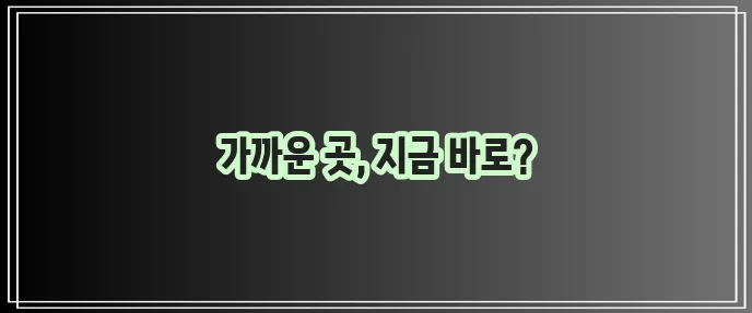 대신택배 영업소 위치 바로 확인하세요!