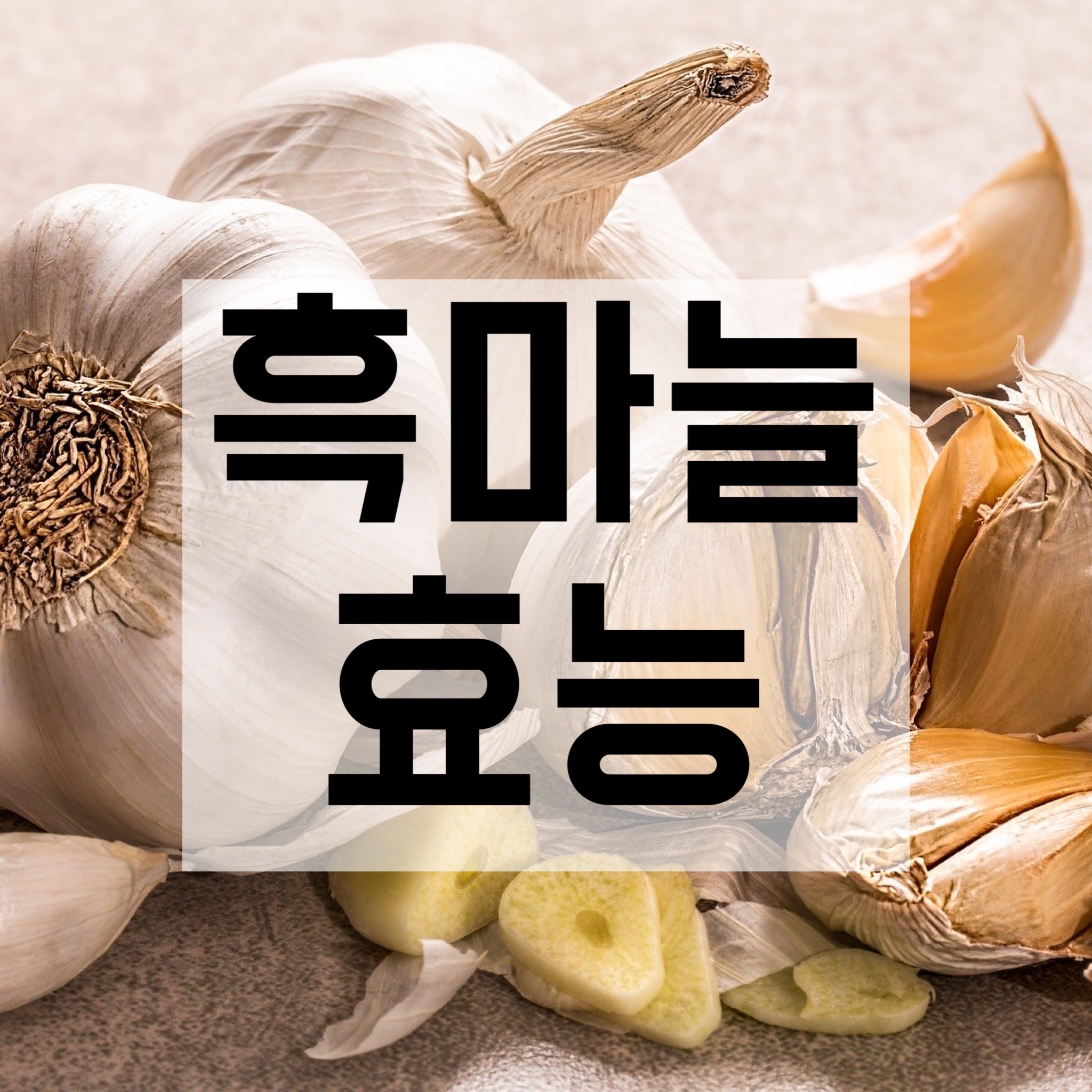  흑마늘 효능