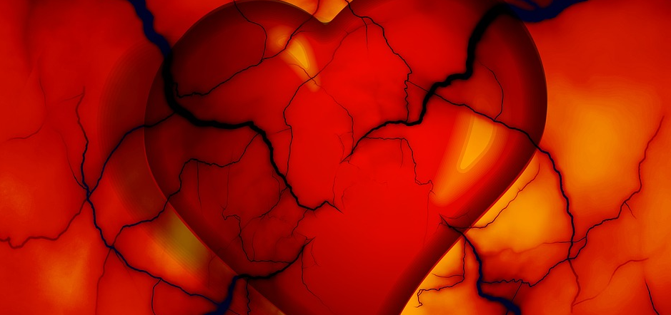 빨상색 삼차원으로 만든 심장의 모습