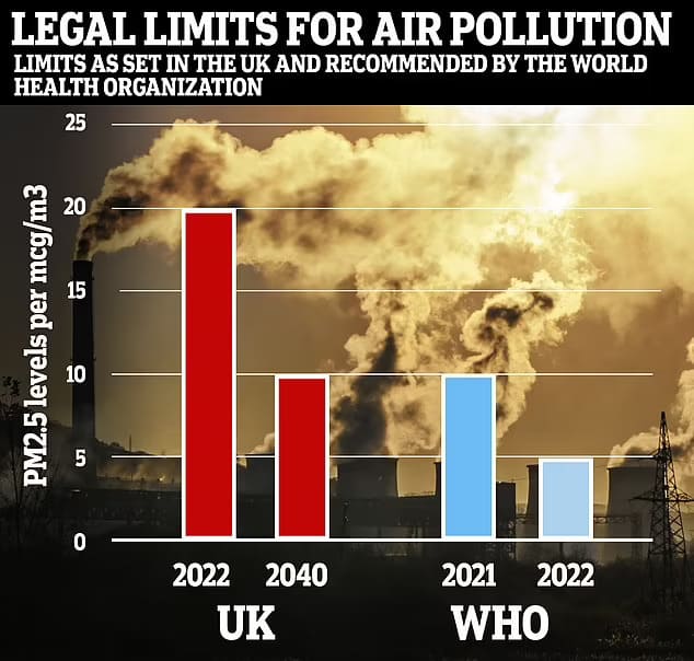  영국 정부, 대기오염 치매의 원인 첫 공식 인정  VIDEO: Air pollution 'IS causing dementia'