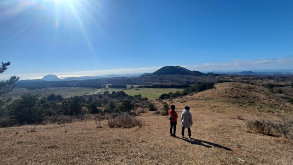 정물 당오름, 오름 그리고 금악오름 17