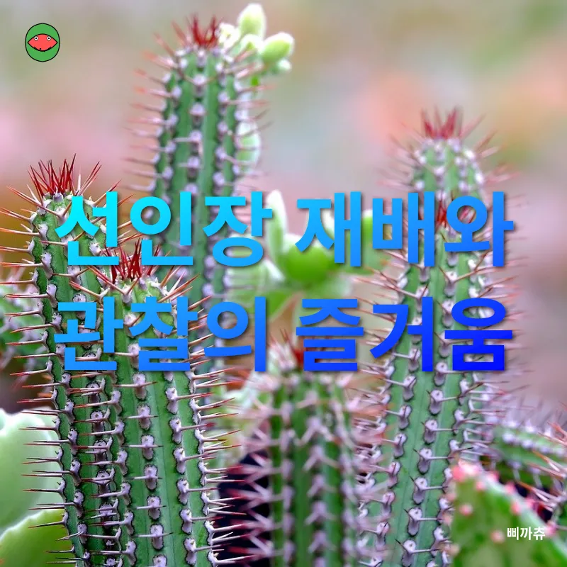 선인장 식물원_2