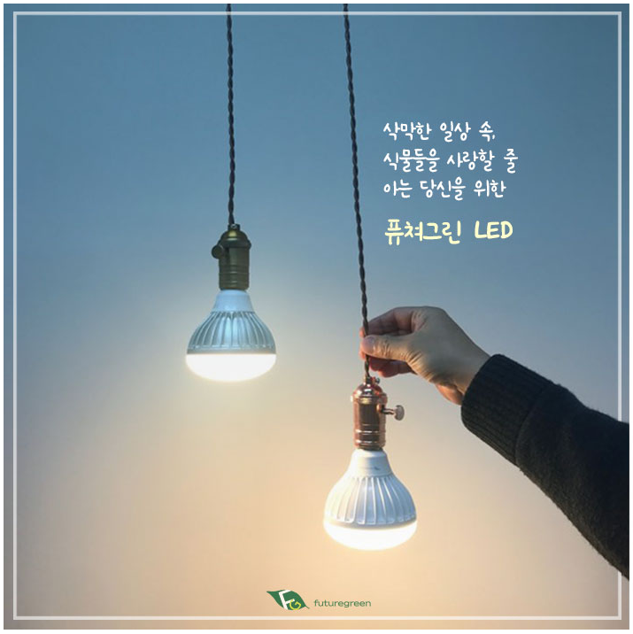 퓨처 그린 식물등으로! 14