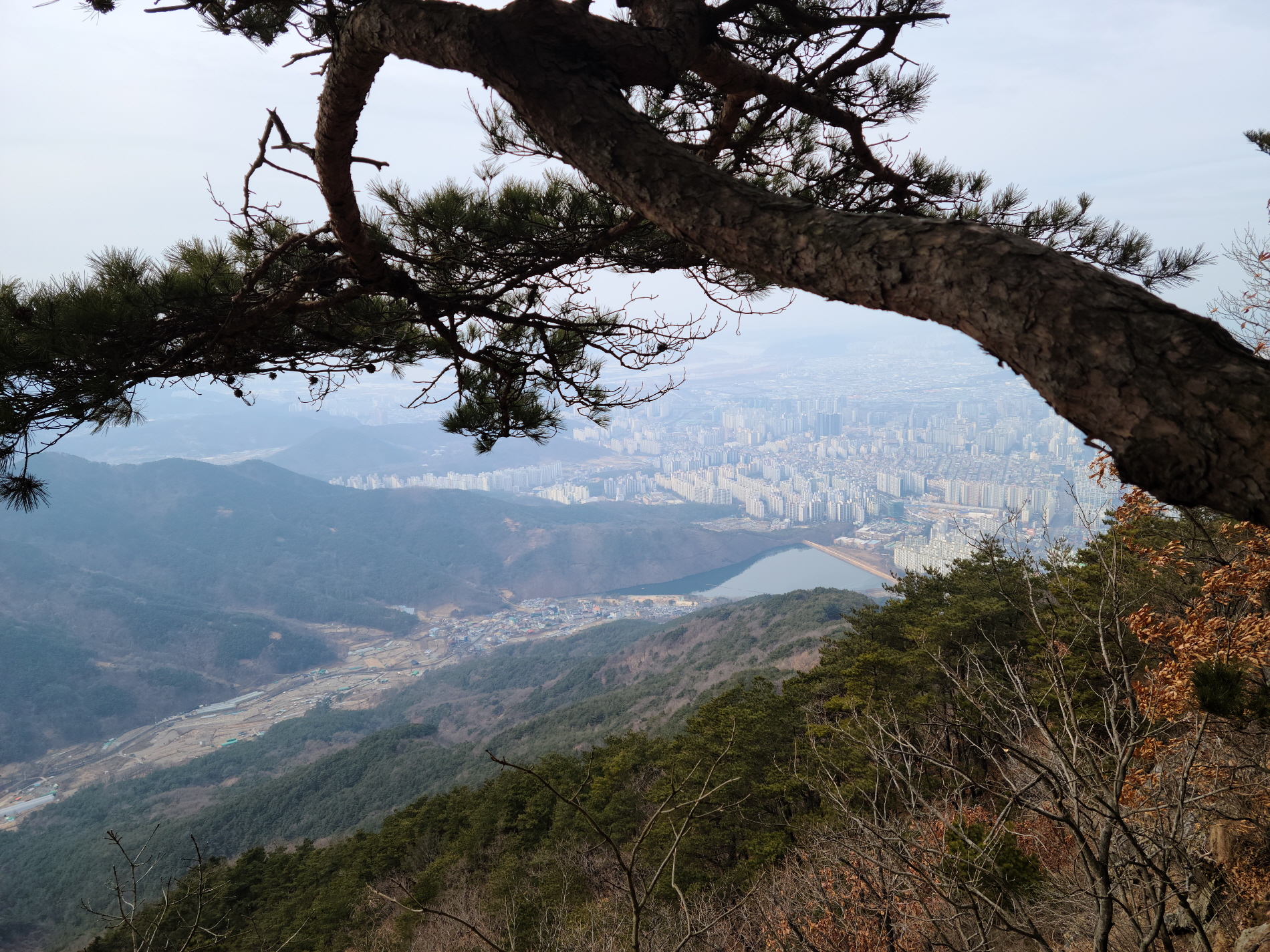  대구 청룡산 [도원지~청룡산~수밭마을]